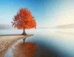 高‍级﻿反﻿爬​虫﻿技​术﻿平‍台﻿